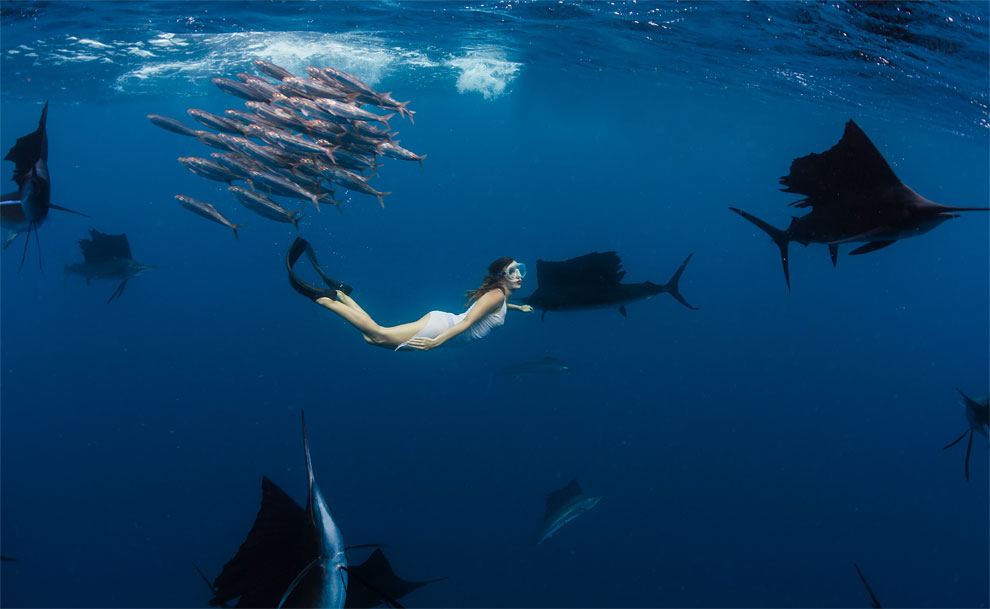 Roberta Mancino Diving Photography9