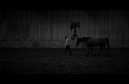 LIKE HORSES