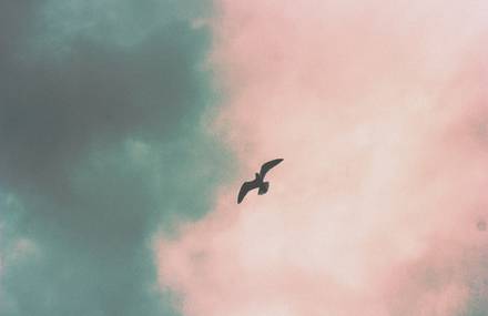 Photography by Brian McMillan.
