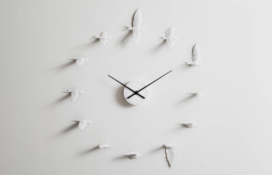 Birds Clock Design
