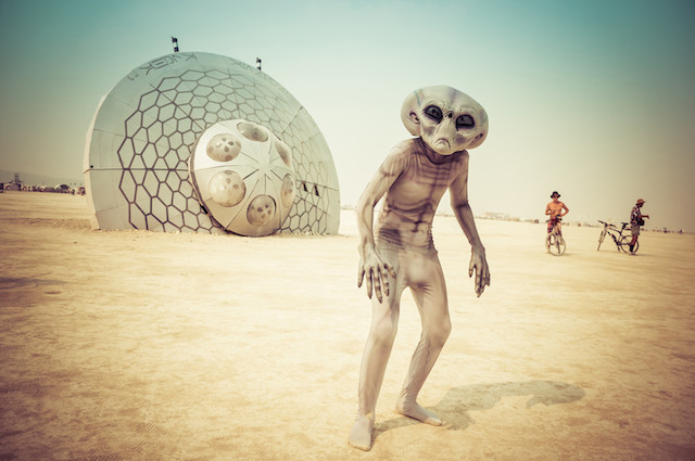 12-Burning Man 2014