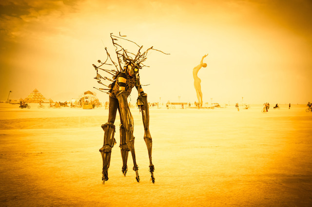 14-Burning Man 2014