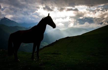 Pyrénées à Cheval