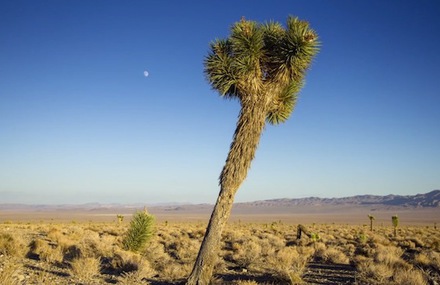 California Timelapse