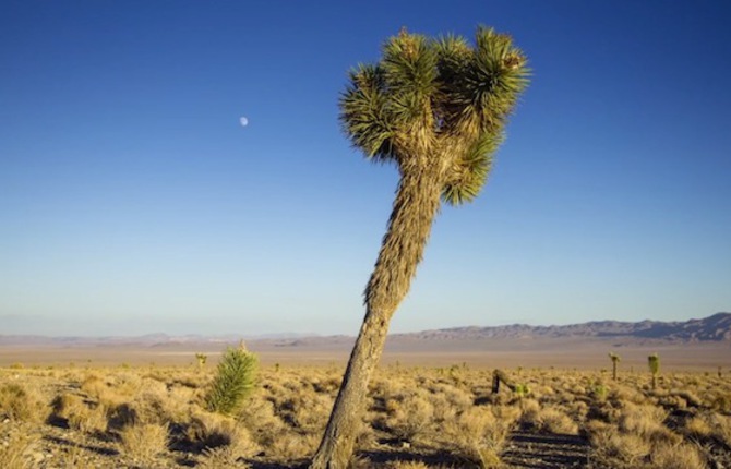 California Timelapse