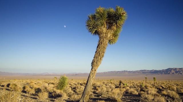 2-California Timelapse