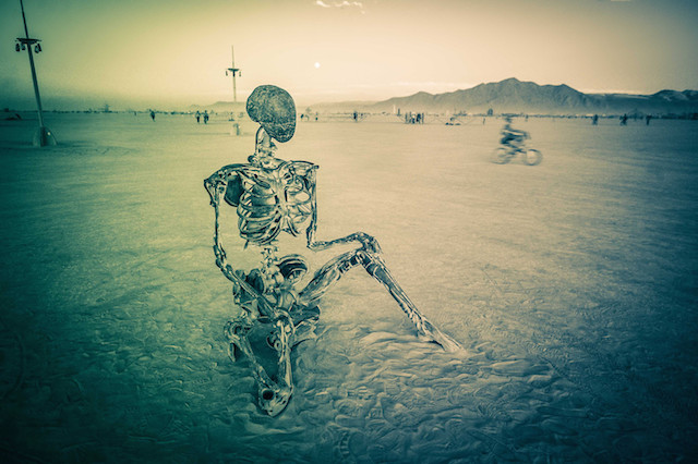 34-Burning Man 2014