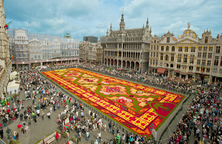 Gigantic Flowers Carpet in Brussels