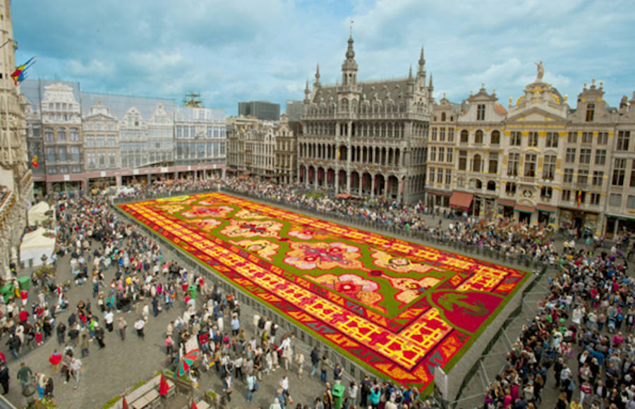 Gigantic Flowers Carpet in Brussels