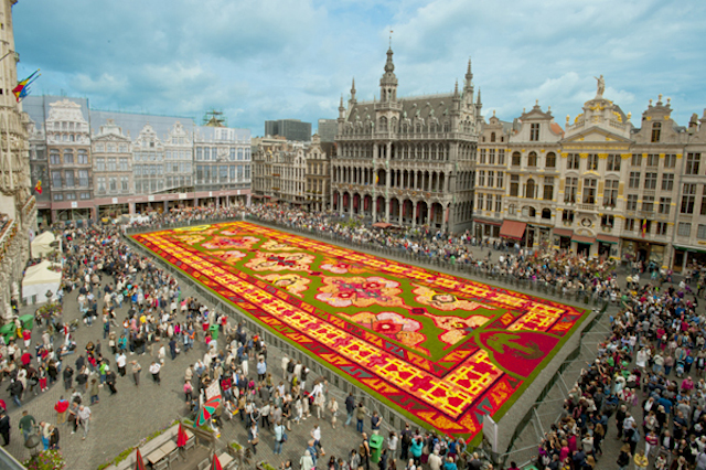 Brussels-Flower-Carpet-1