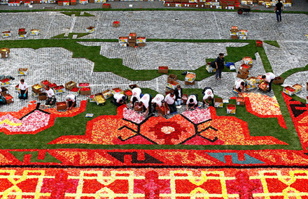 Gigantic Flowers Carpet in Brussels