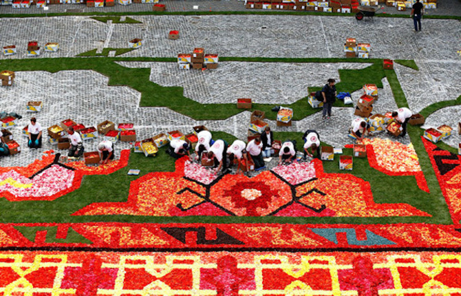 Gigantic Flowers Carpet in Brussels