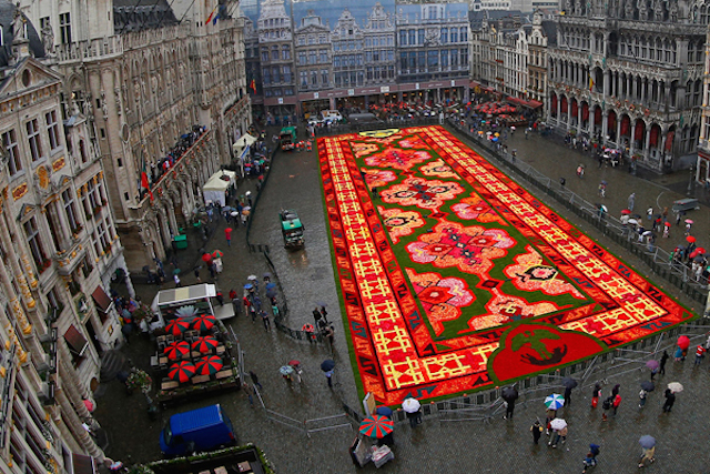 Brussels-Flower-Carpet-3