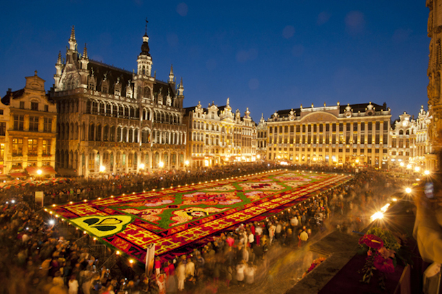 Brussels-Flower-Carpet-5