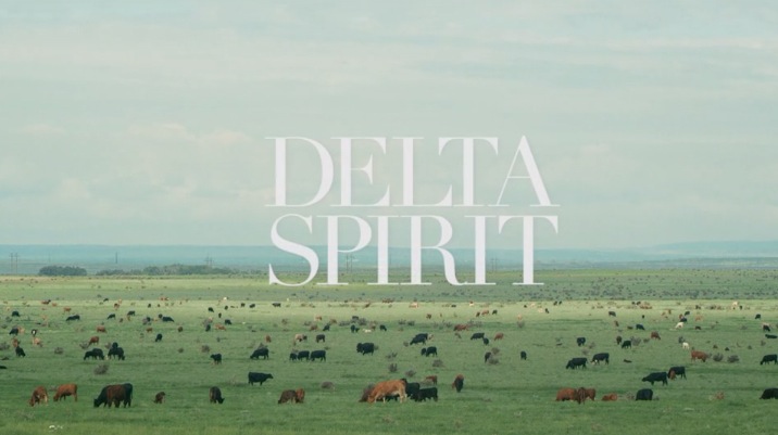 Delta Spirit - Frow Now On1