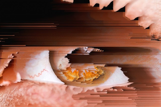 Glitch Photography-6