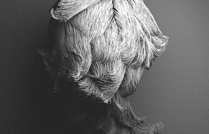 Hairy Digital Portraits