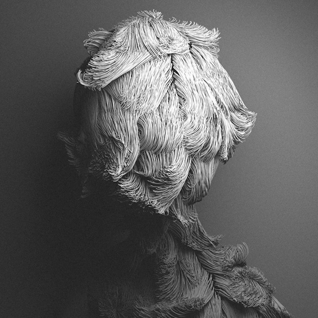 Hairy Digital Portraits-1