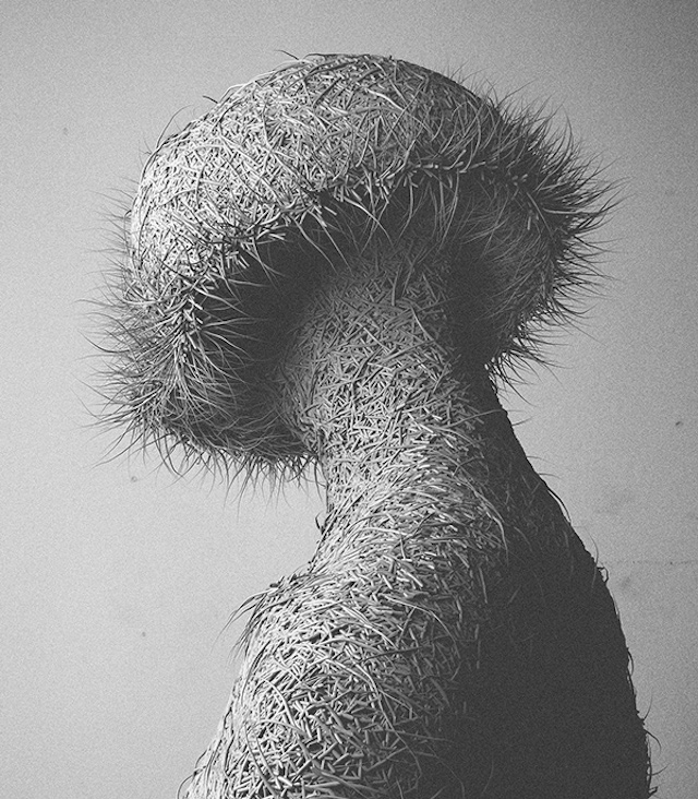 Hairy Digital Portraits-4