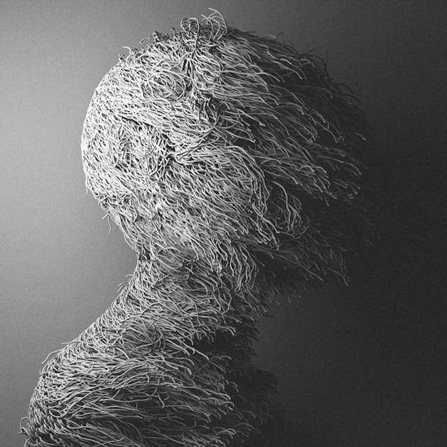 Hairy Digital Portraits-6