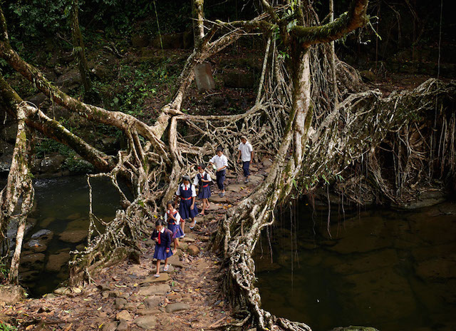 Meghalaya Photography11