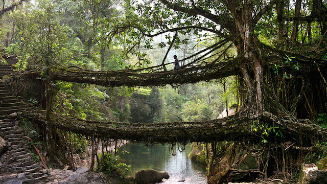 Meghalaya Photography16