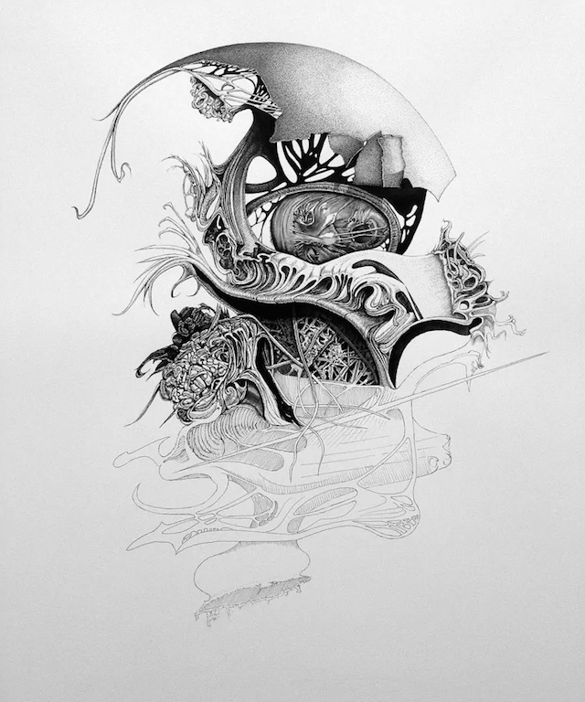 Pen and Ink Drawings by Philip Frank-1