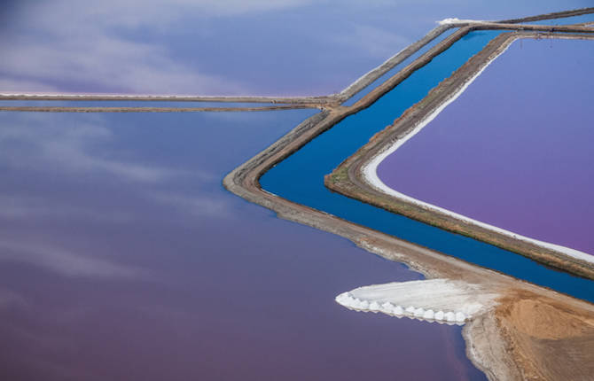 Purple Views of The San Francisco Bay