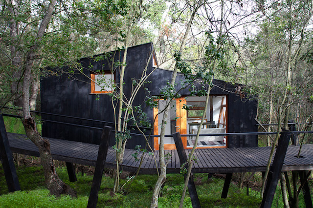 Quebrada Tree House in Chile-1