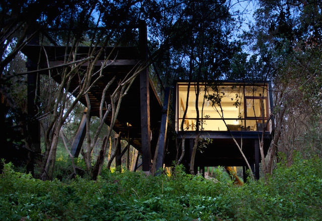 Quebrada Tree House in Chile-8