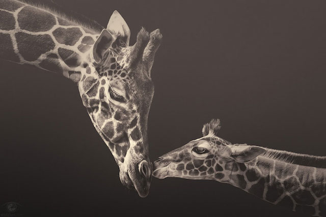 Zoo-Animals-Photography-by-Manuela-Kulpa-1
