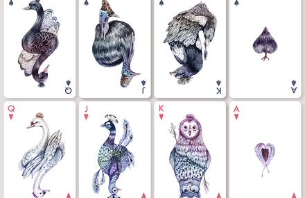 Playing Cards With Birds Illustrations