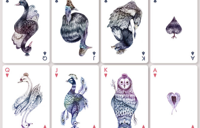 Playing Cards With Birds Illustrations