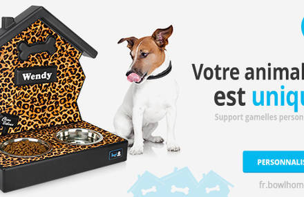 Concept Store for Pets