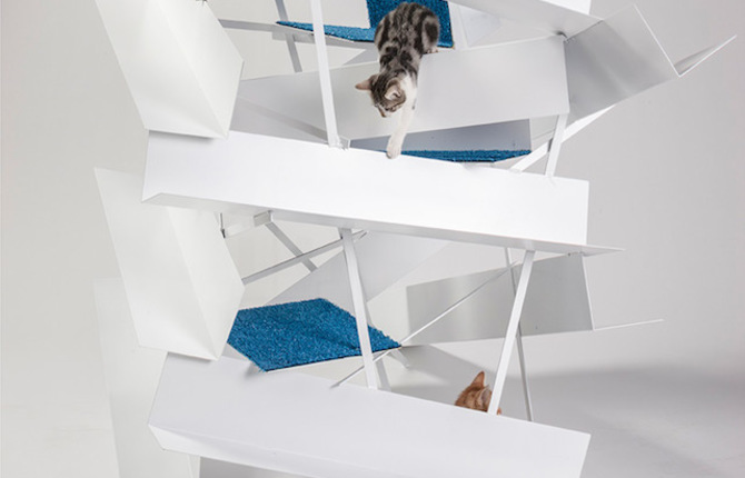 Playful Cat Shelters