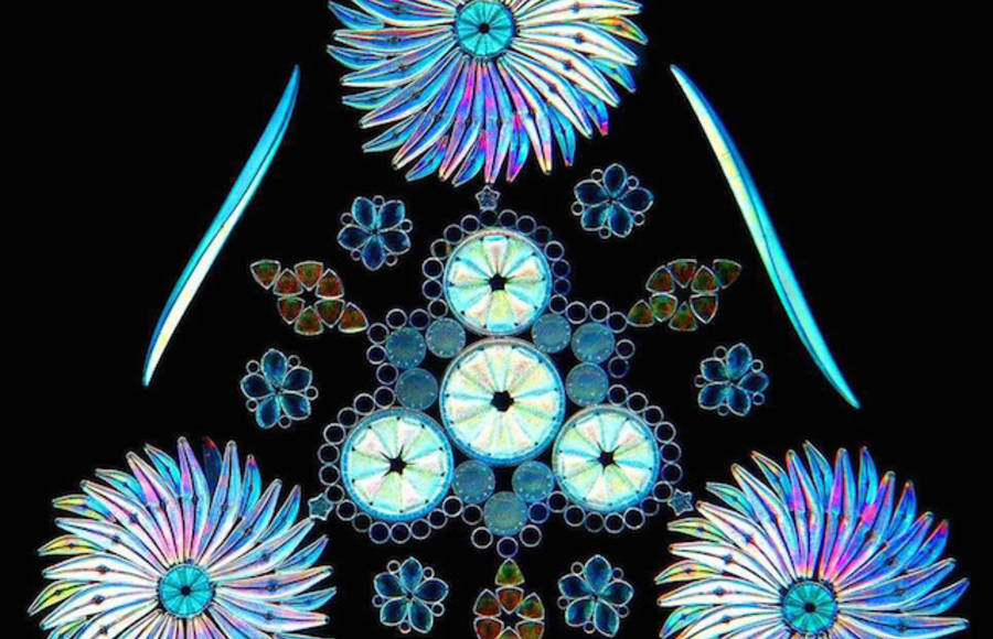 Diatoms Patterns