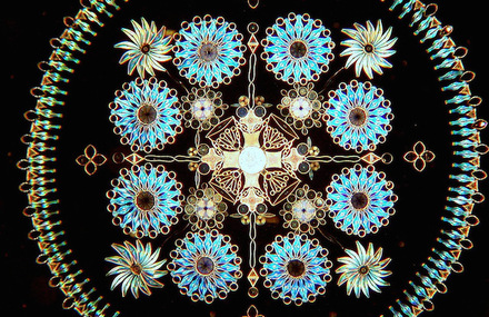Diatoms Patterns