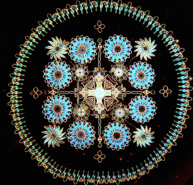 diatom-2