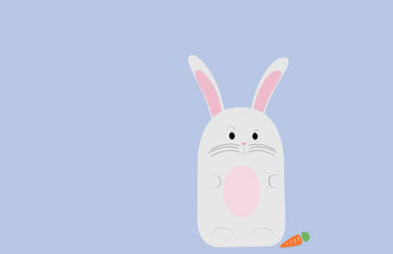 A brief story of the Rabbit