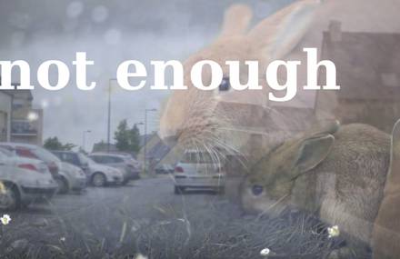 Jean-Baptiste Larrieu – NOT ENOUGH