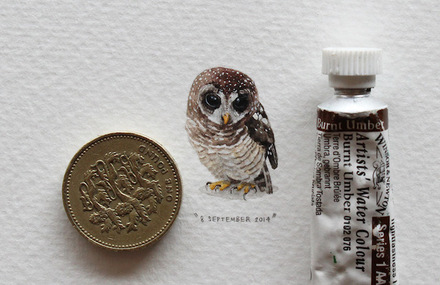 Miniature Paintings Project