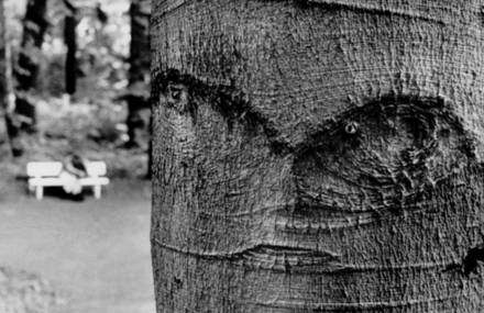 Visages