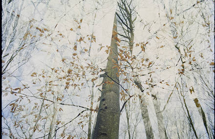 Julie Labarre Boileau Photography