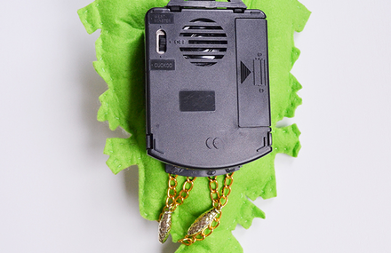 Cuckoo Clock