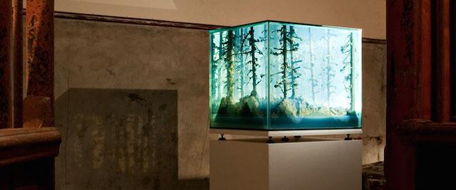 Aquarium Sculptures by Mariele Neudecker-2