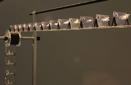 Film Projection Without Any Film