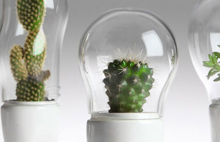 Funny Creative Terrariums