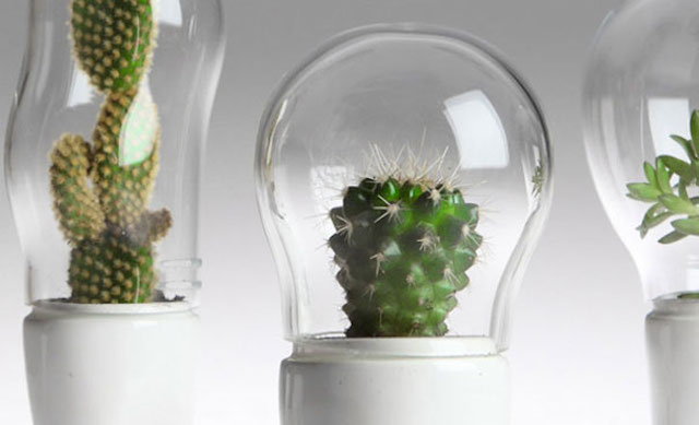 Funny Creative Terrariums-2