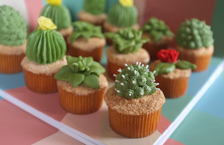 House Plant Cactus Cupcakes