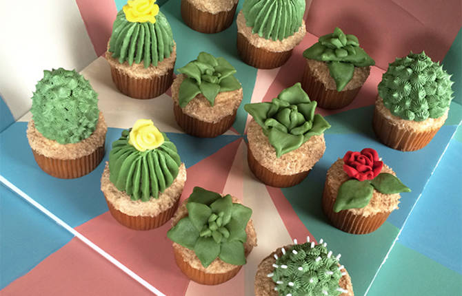 House Plant Cactus Cupcakes